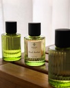 Oud Amber perfume